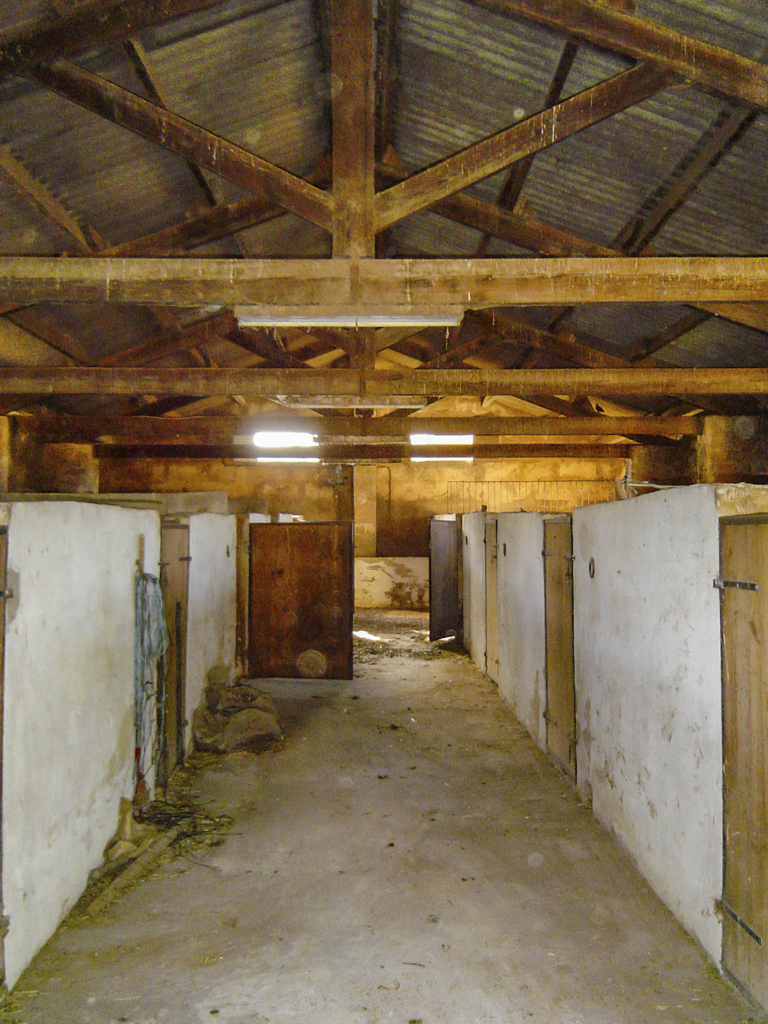 Son Espases Nou, La Vinya d'en Carrió, Can Revell