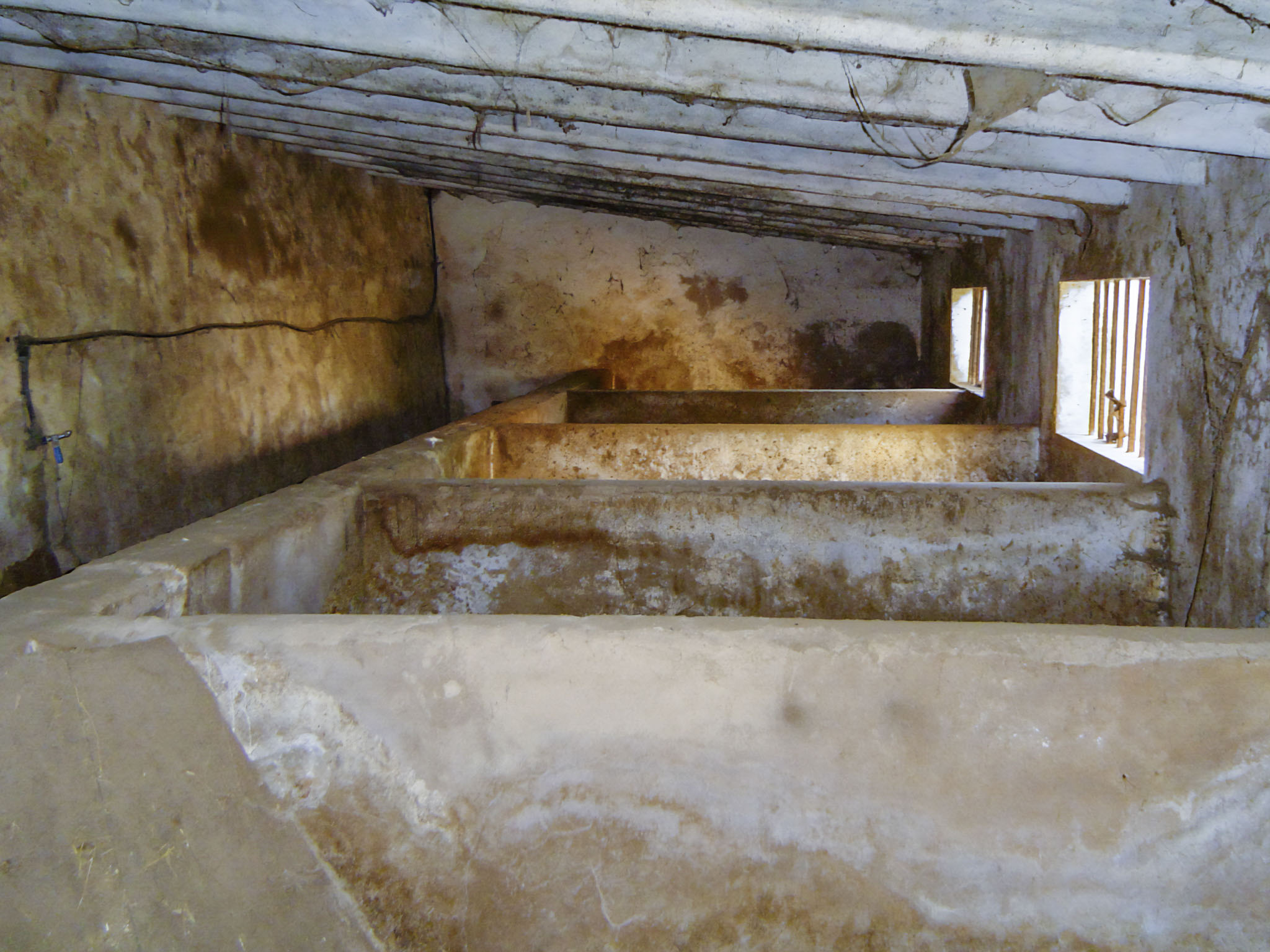 Son Espases Nou, La Vinya d'en Carrió, Can Revell