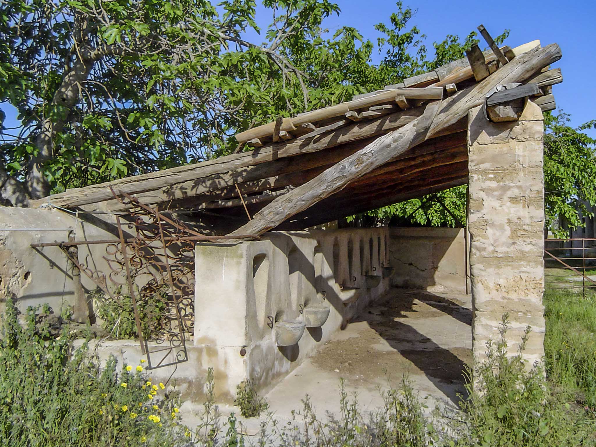 Son Espases Nou, La Vinya d'en Carrió, Can Revell