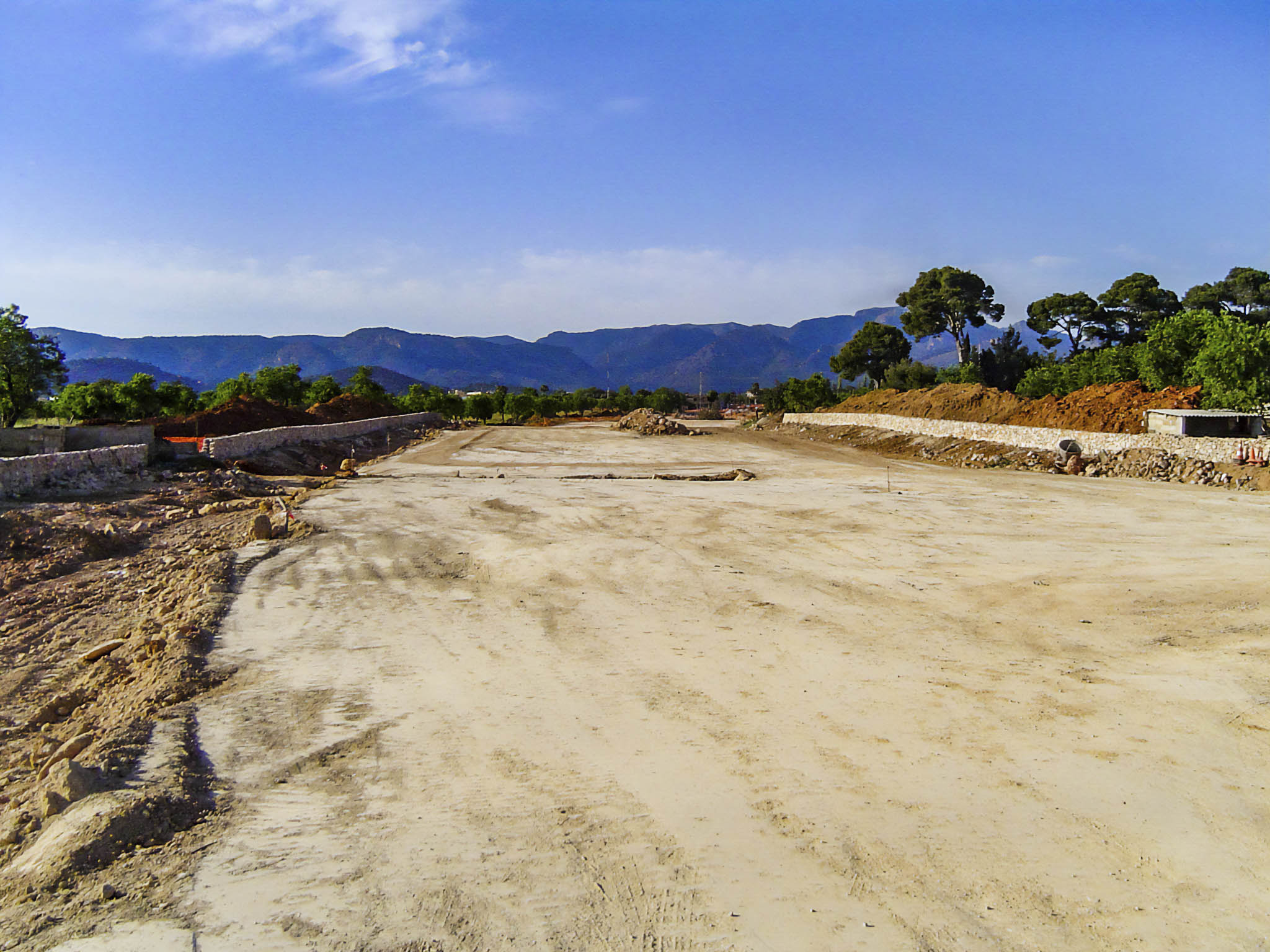 Son Espases Nou, La Vinya d'en Carrió, Can Revell