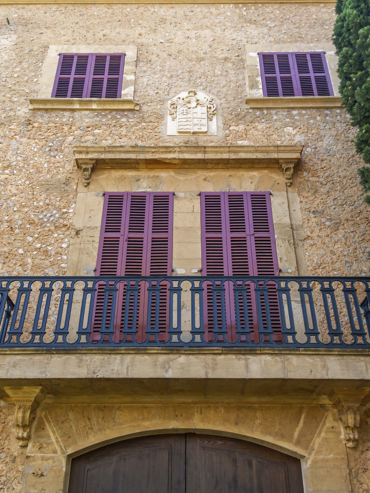 Son Espases Nou, La Vinya d'en Carrió, Can Revell