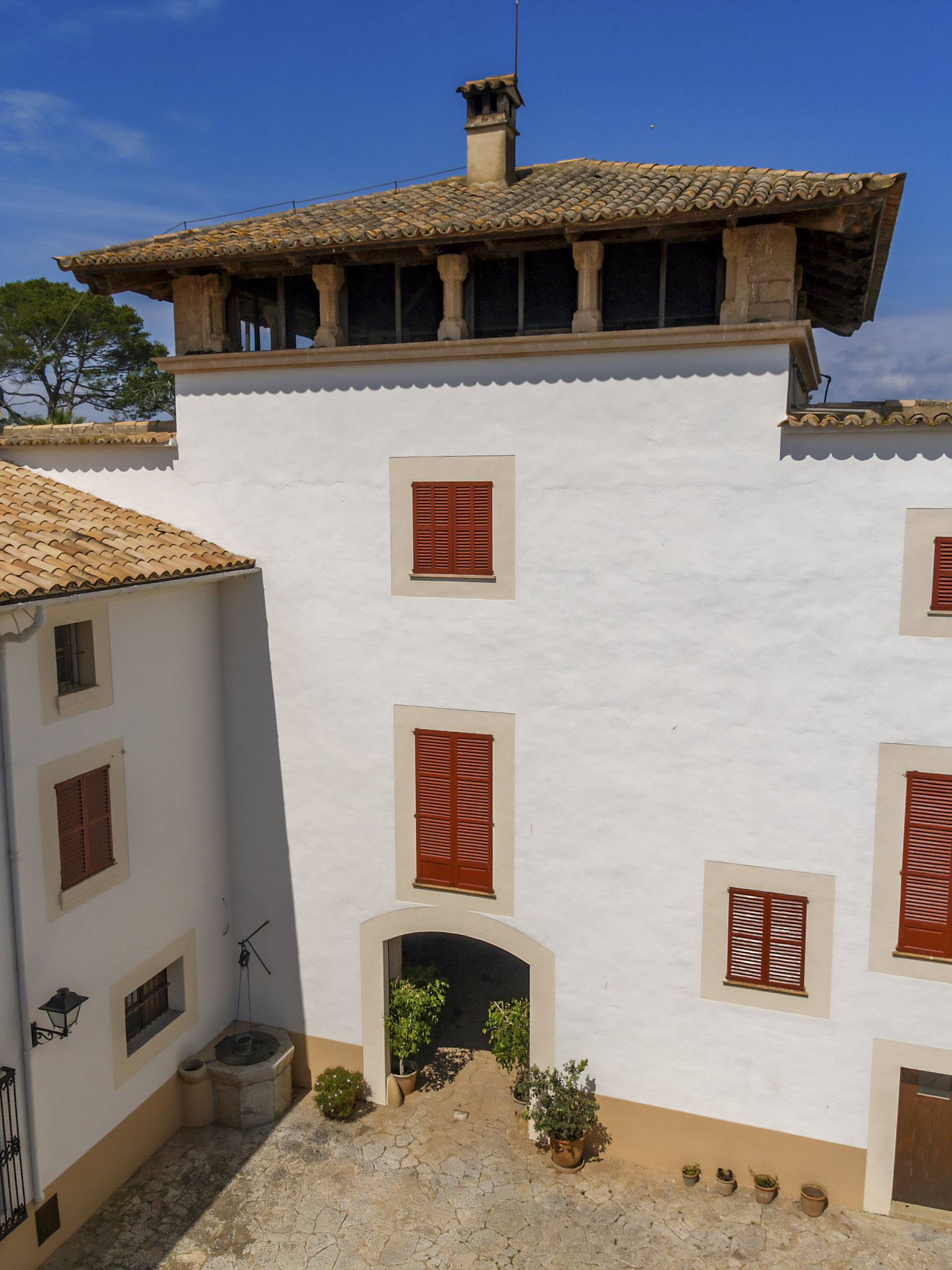 Son Espases Nou, La Vinya d'en Carrió, Can Revell