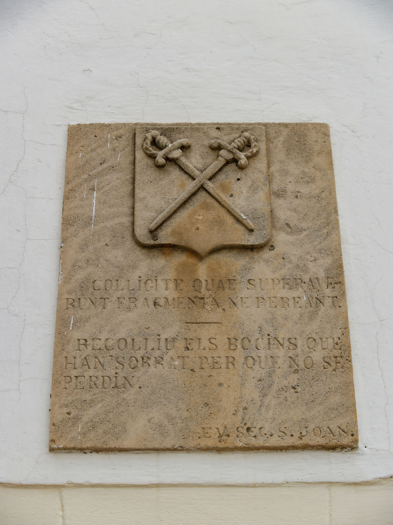 Son Espases Nou, La Vinya d'en Carrió, Can Revell