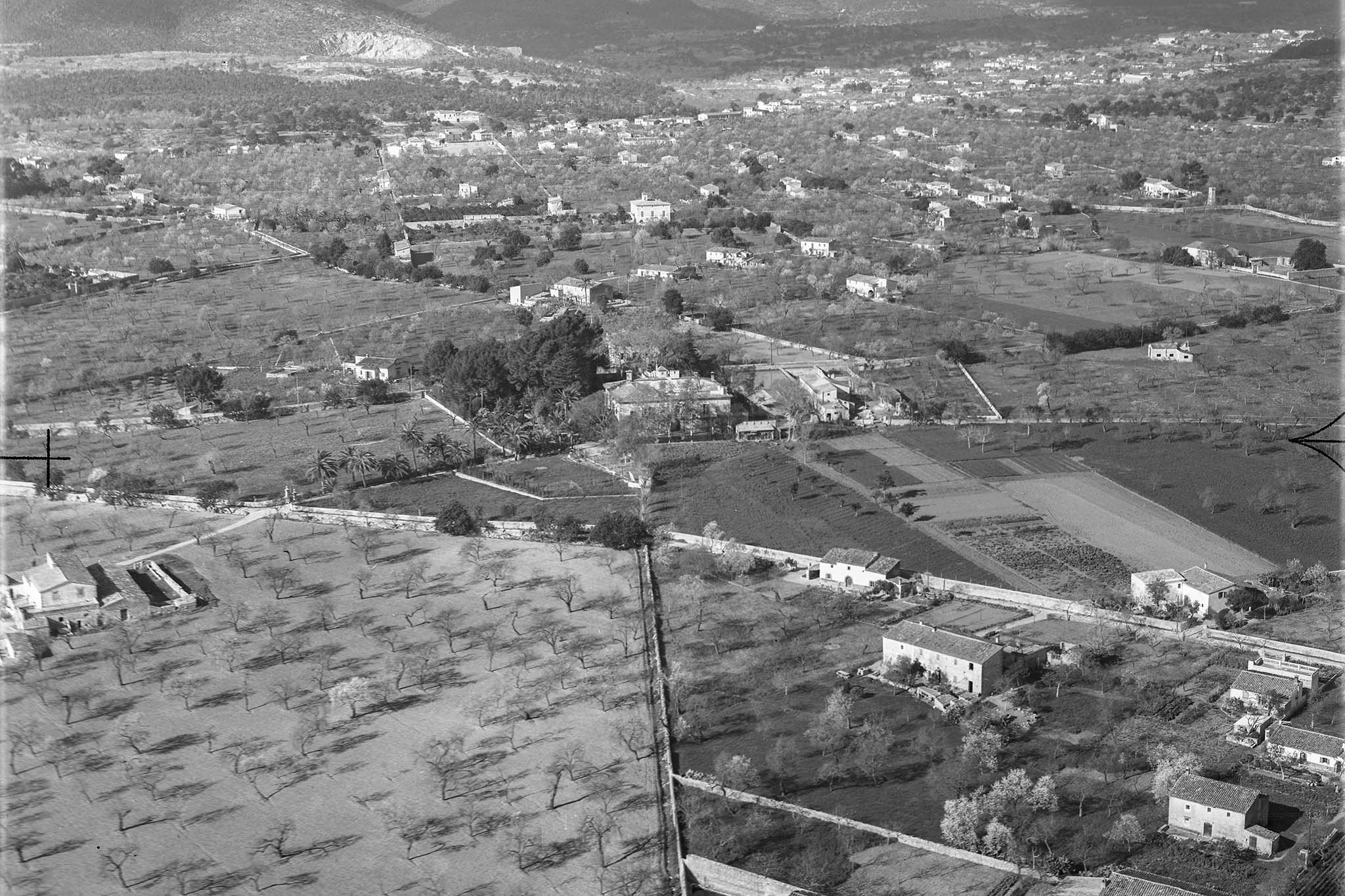 Son Espases Nou, La Vinya d'en Carrió, Can Revell