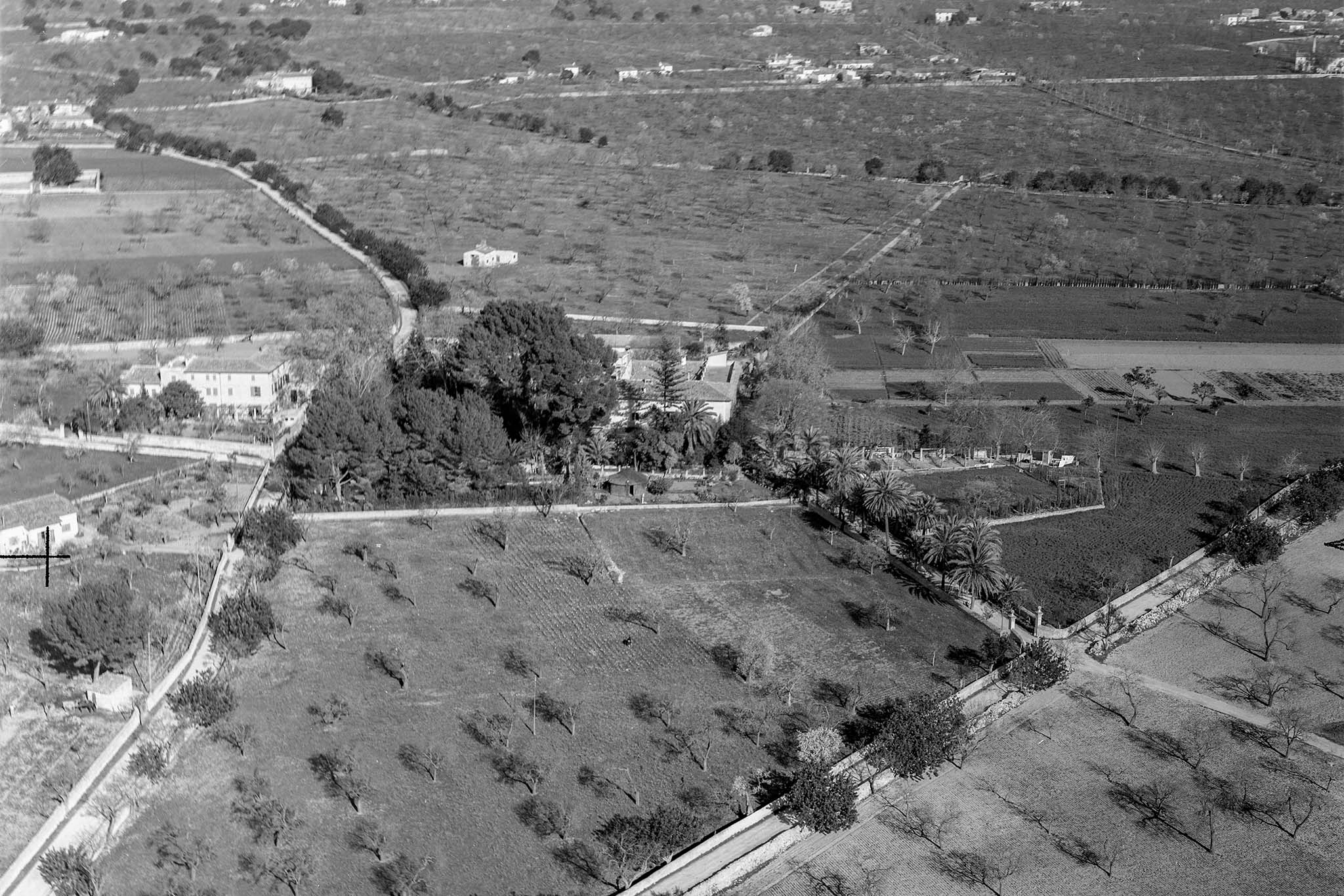 Son Espases Nou, La Vinya d'en Carrió, Can Revell