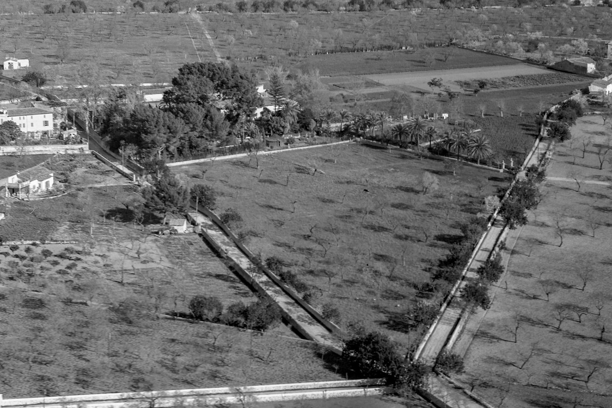 Son Espases Nou, La Vinya d'en Carrió, Can Revell