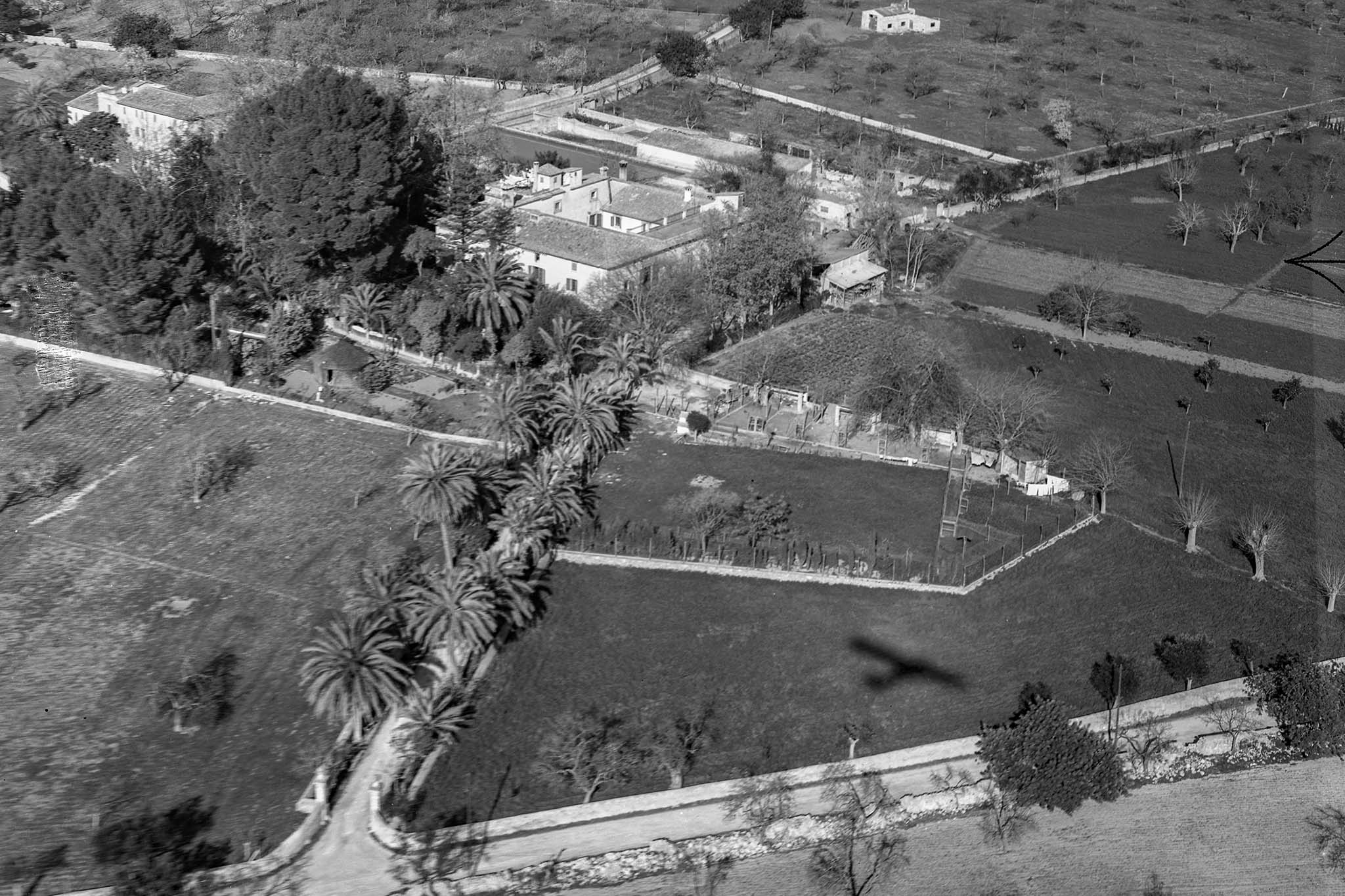 Son Espases Nou, La Vinya d'en Carrió, Can Revell