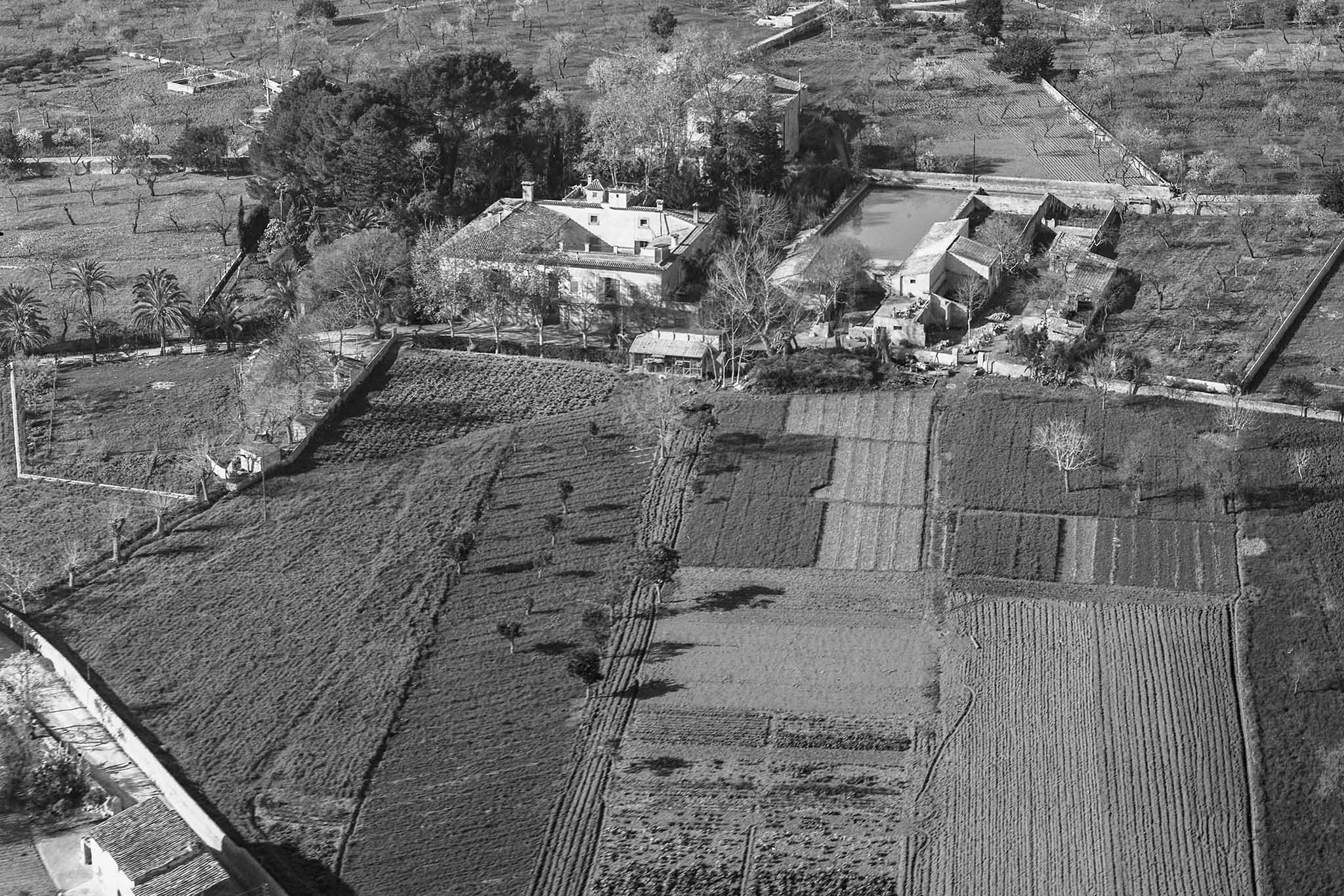 Son Espases Nou, La Vinya d'en Carrió, Can Revell