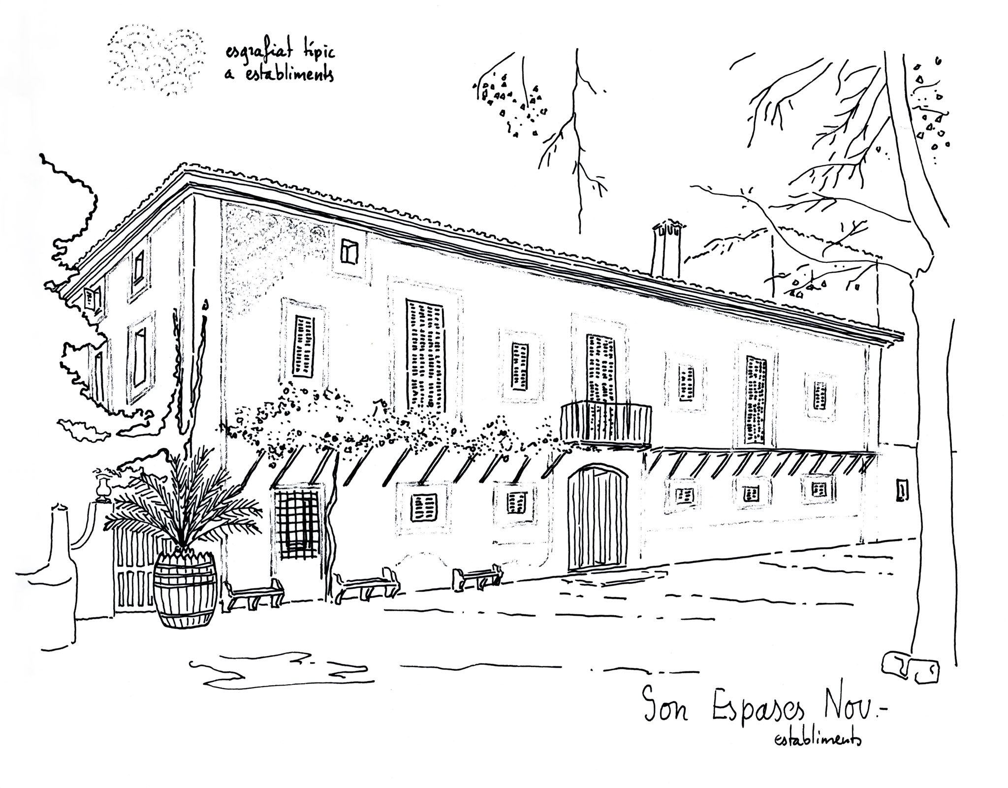 Son Espases Nou, La Vinya d'en Carrió, Can Revell