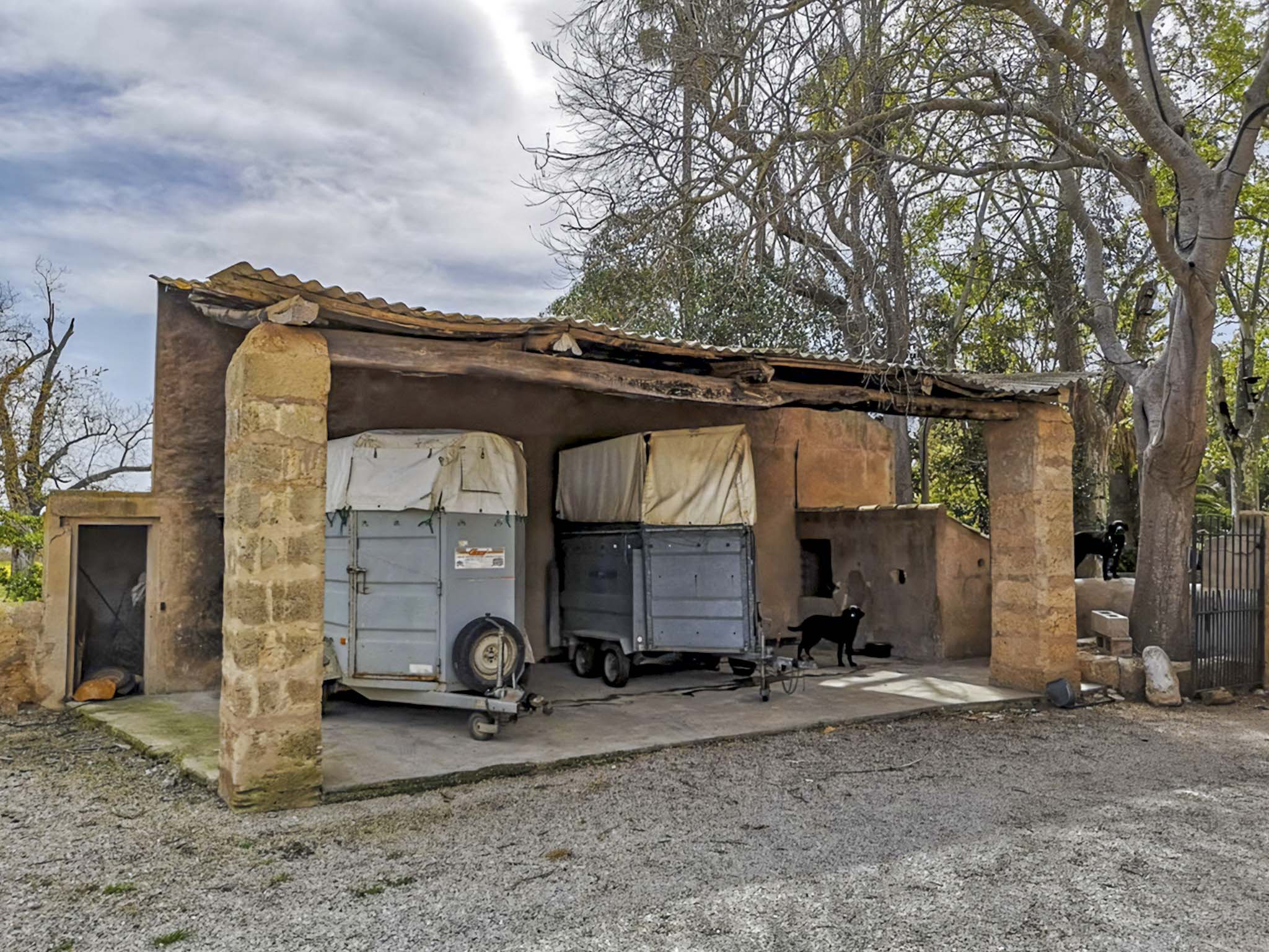 Son Espases Nou, La Vinya d'en Carrió, Can Revell