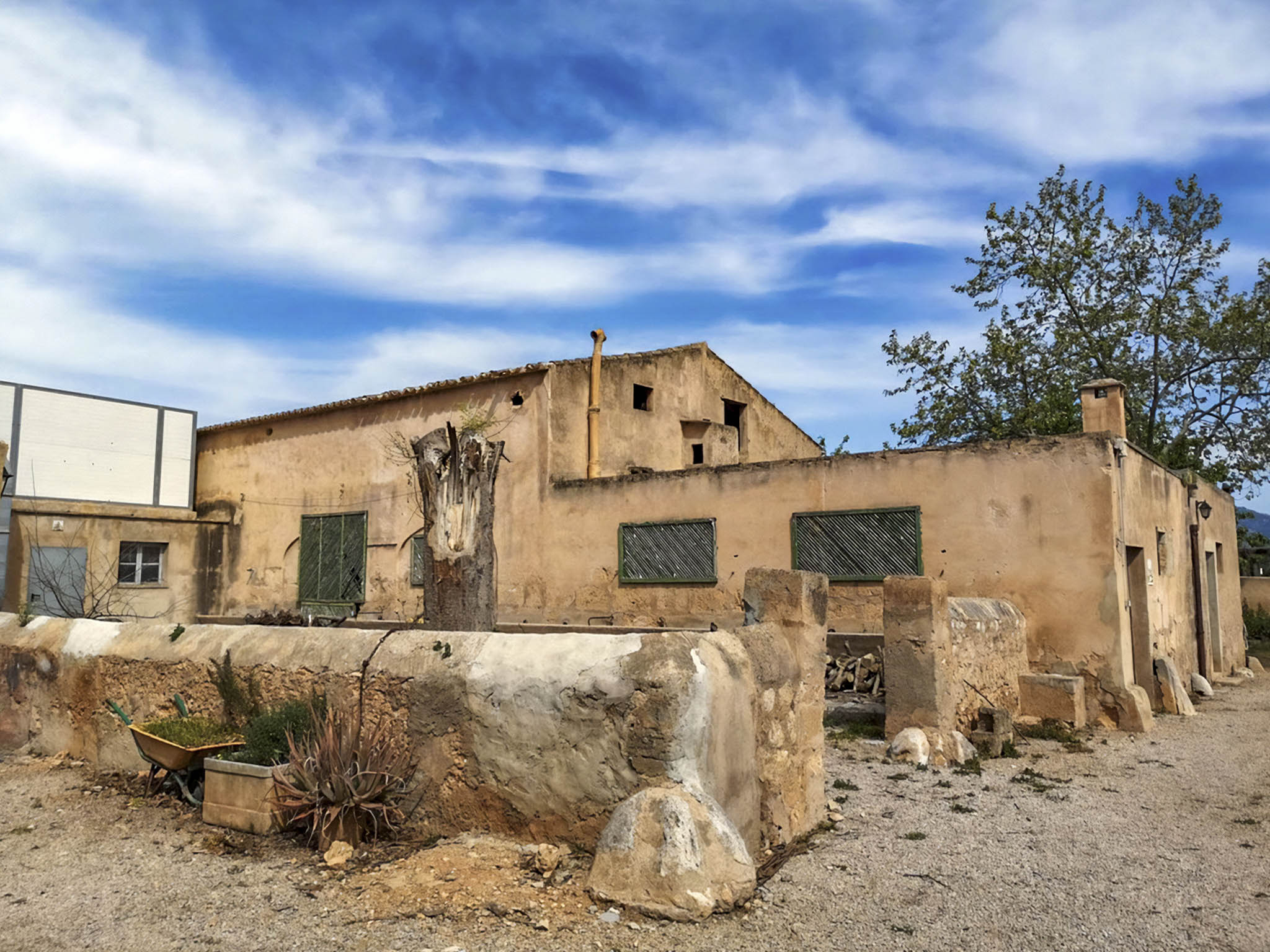 Son Espases Nou, La Vinya d'en Carrió, Can Revell