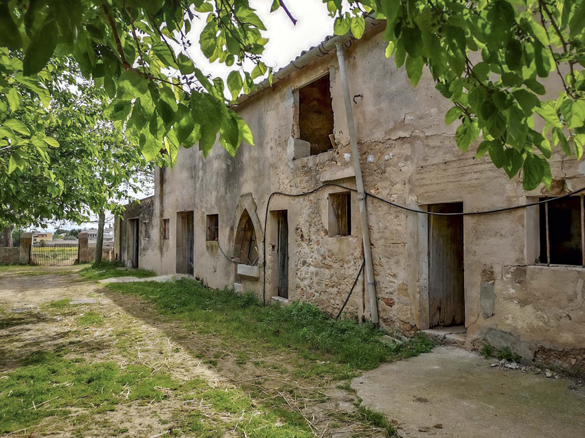 Son Espases Nou, La Vinya d'en Carrió, Can Revell