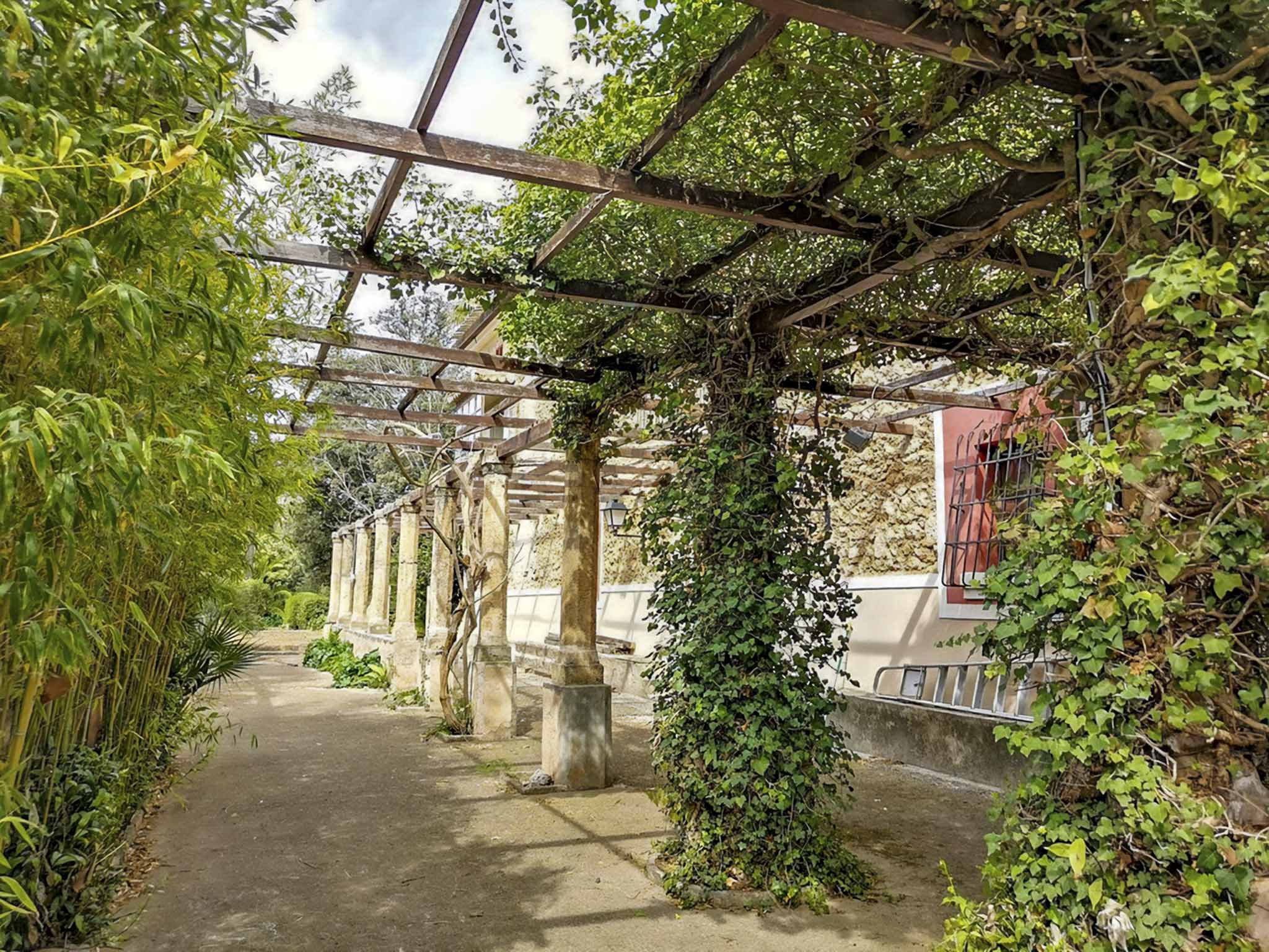 Son Espases Nou, La Vinya d'en Carrió, Can Revell