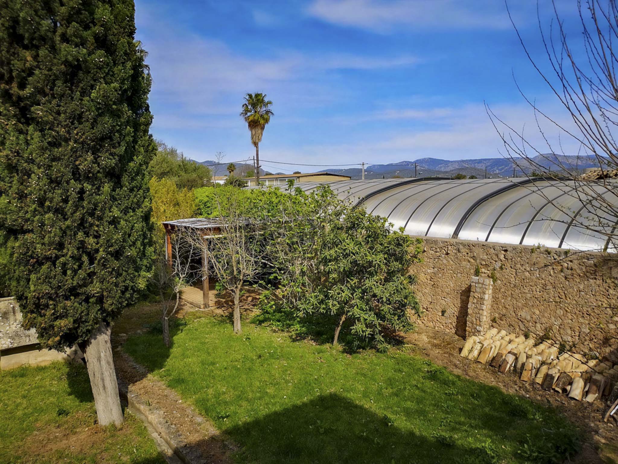 Son Espases Nou, La Vinya d'en Carrió, Can Revell