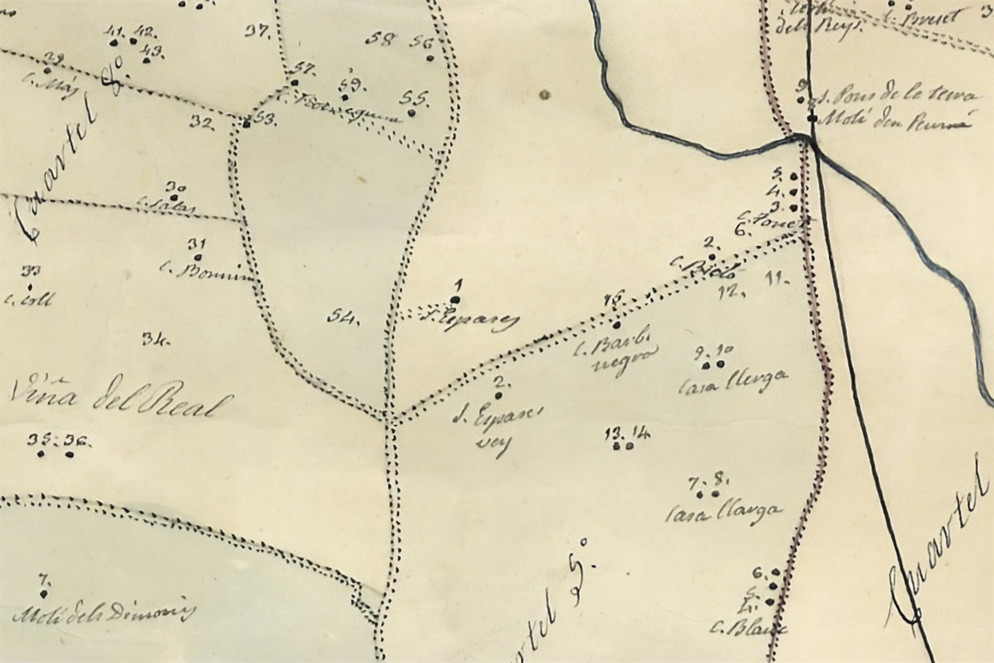 Son Espases Nou, La Vinya d'en Carrió, Can Revell