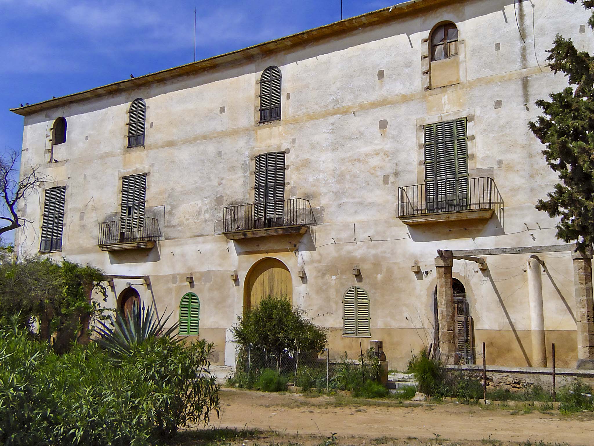 Son Cànaves, Son Cocoví