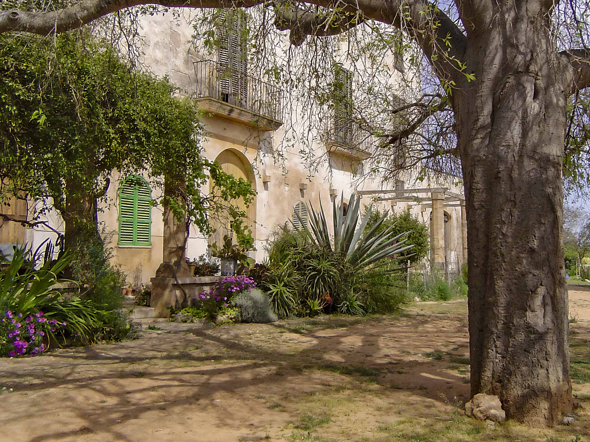 Son Cànaves, Son Cocoví