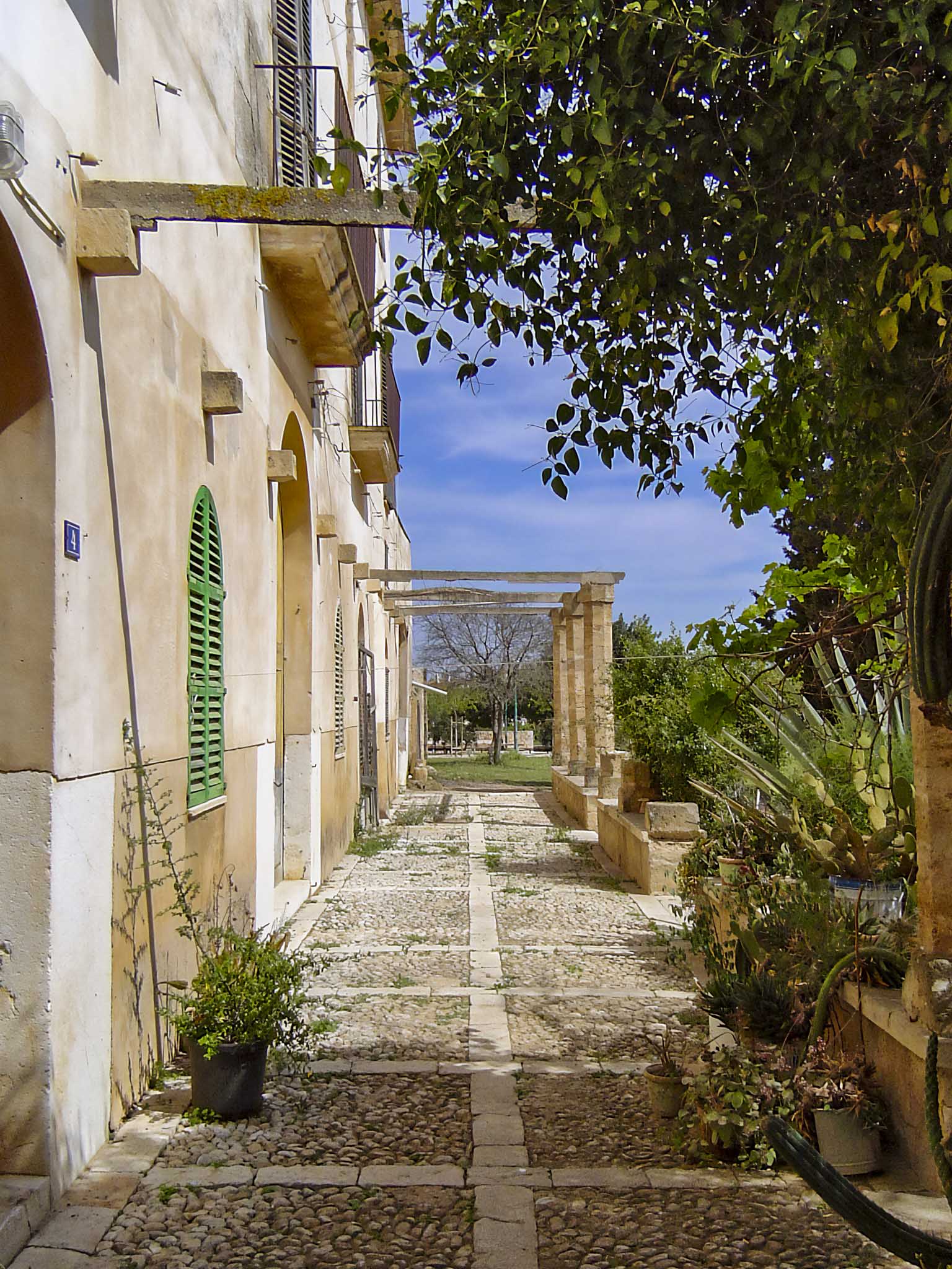 Son Cànaves, Son Cocoví