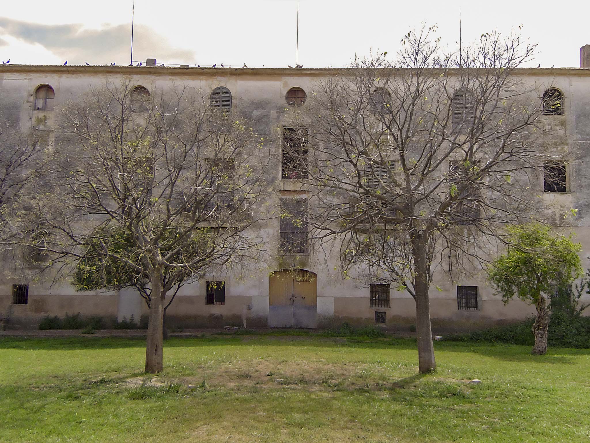 Son Cànaves, Son Cocoví