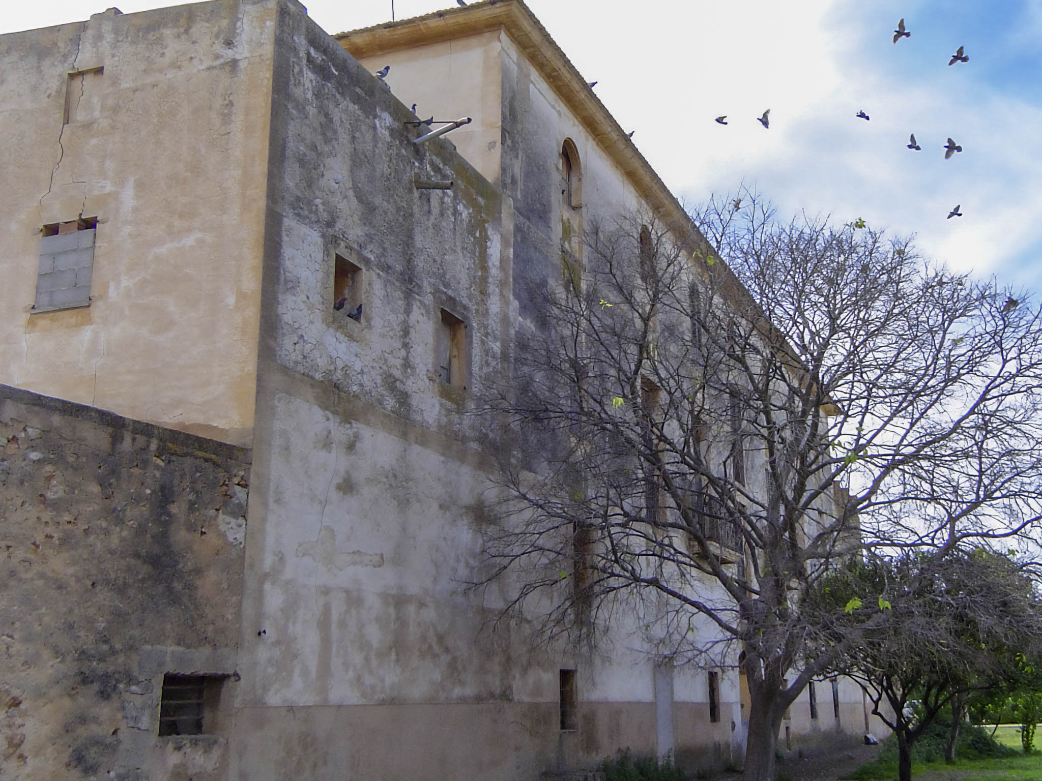 Son Cànaves, Son Cocoví