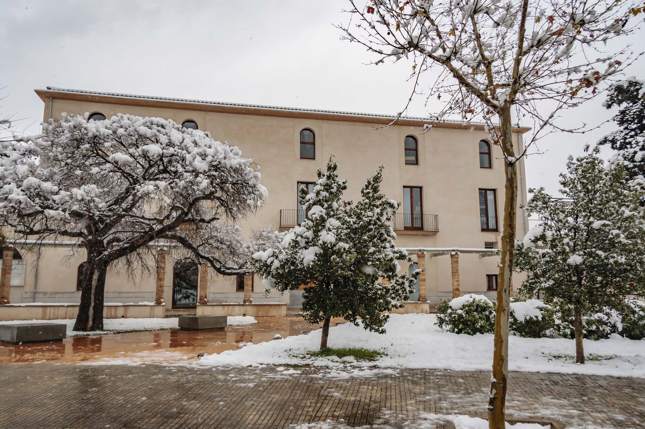 Son Cànaves, Son Cocoví