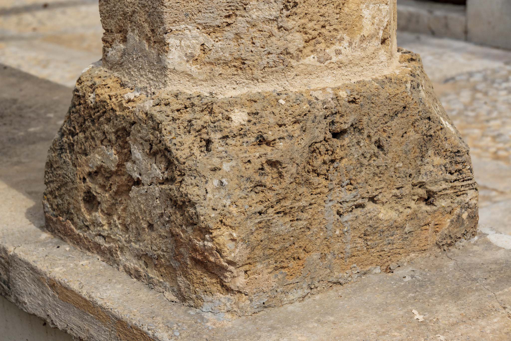 Son Cànaves, Son Cocoví