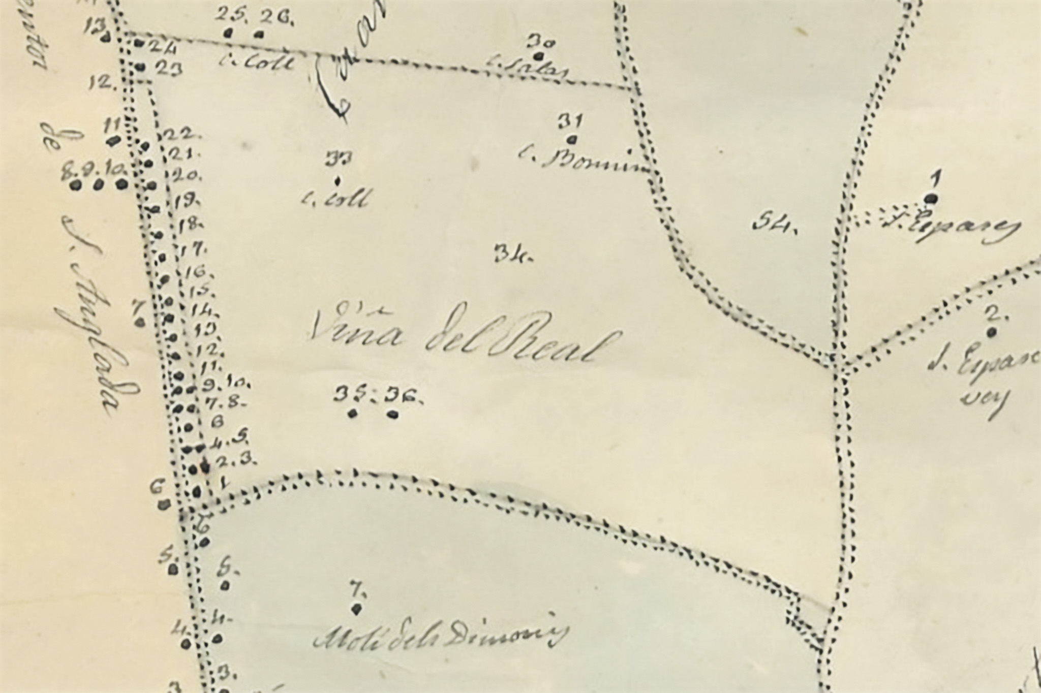 La Vinya de la Real, Ca Don Marc