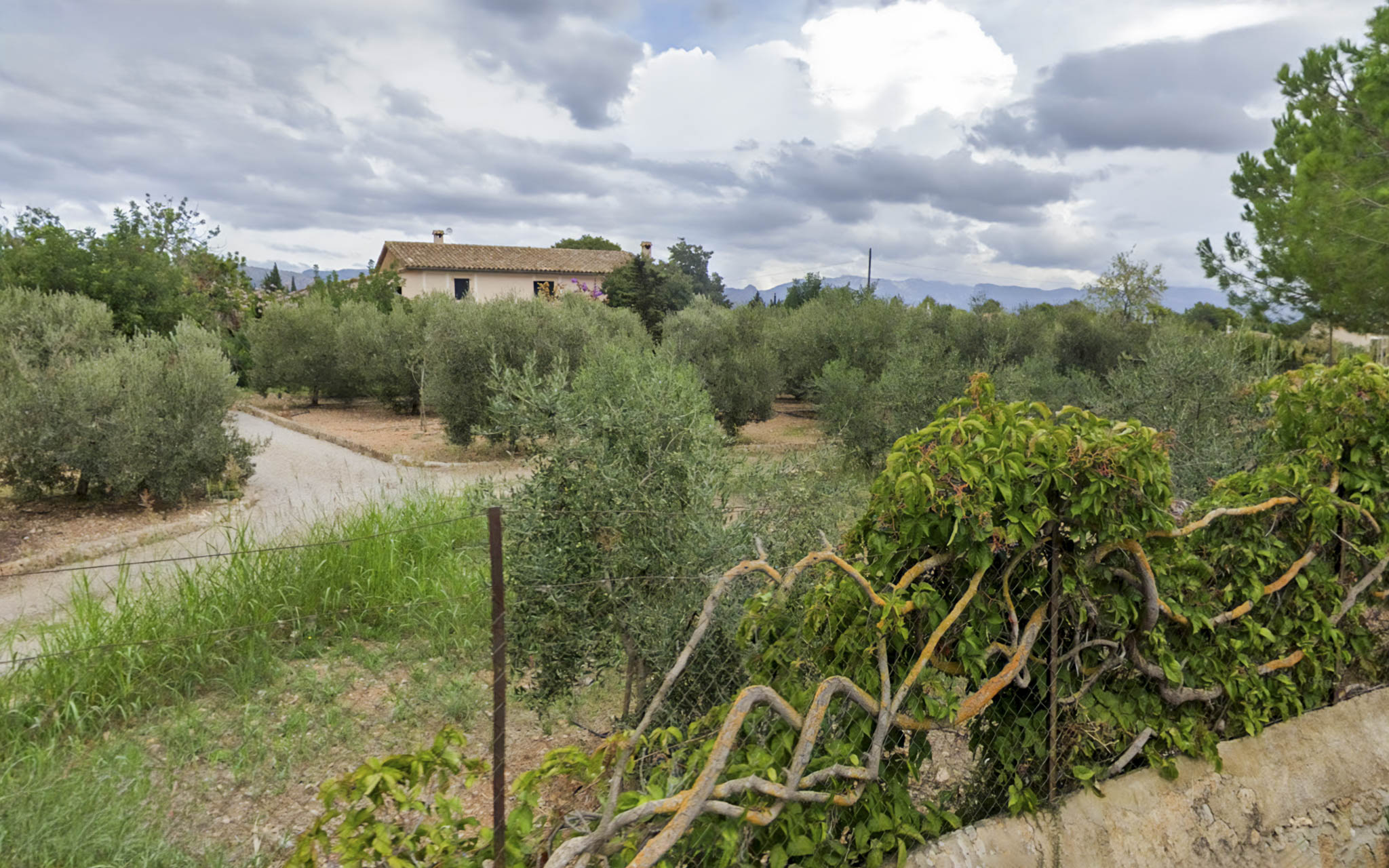 Cal Frare de la Torre