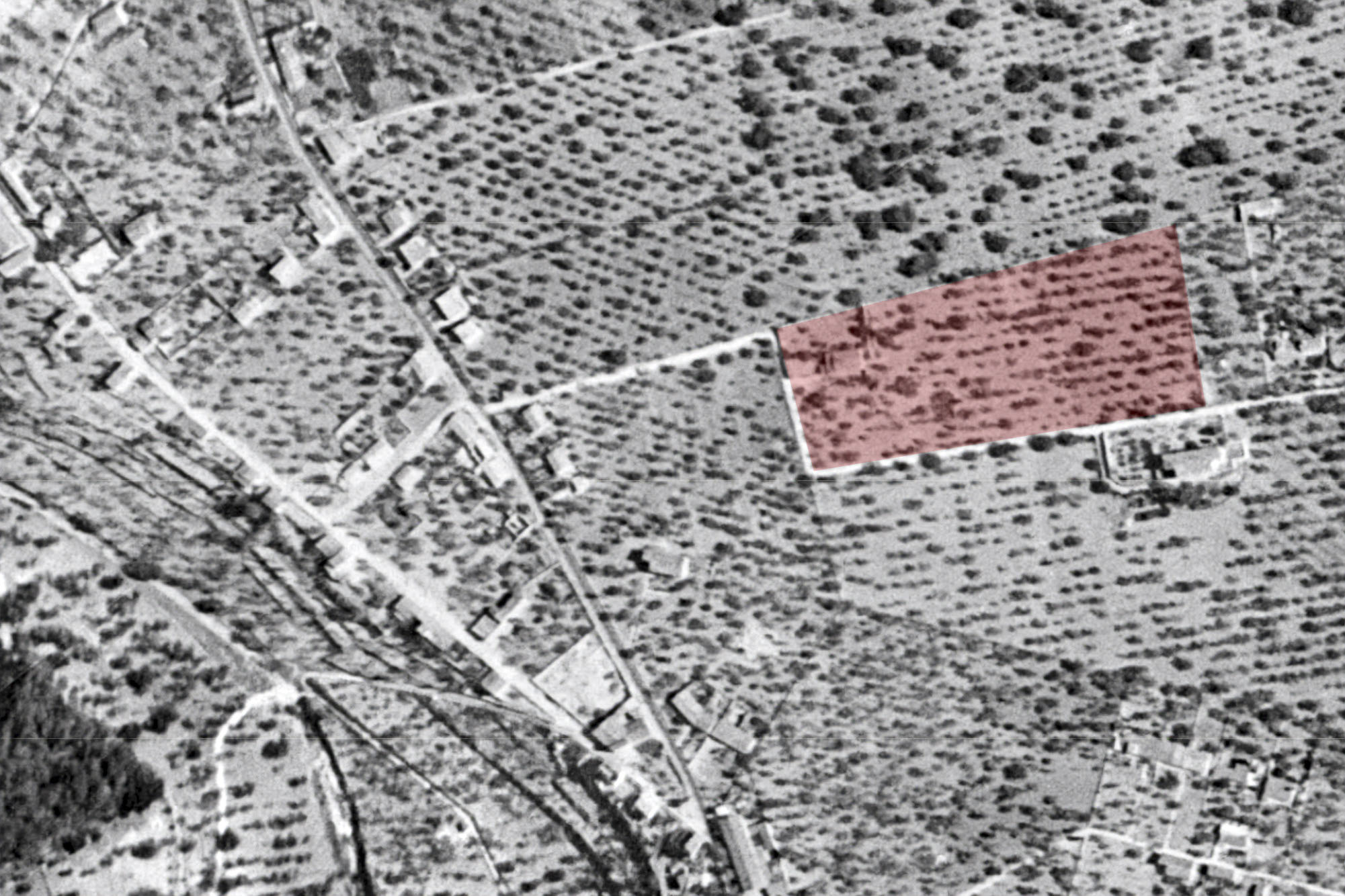 Cal Frare de la Torre