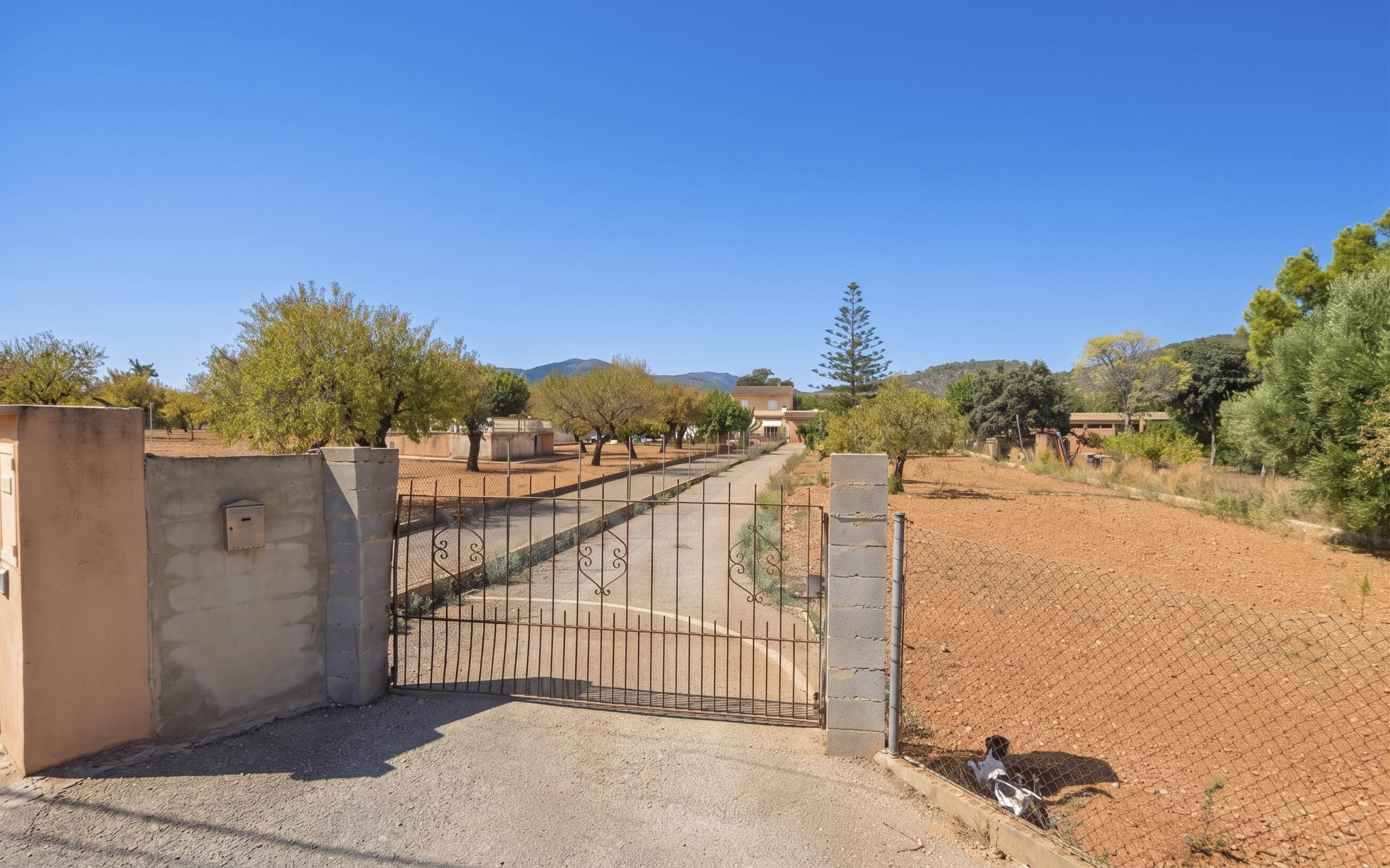 Cal Forner, Can Pancuit, Can Quintana, Can Gener