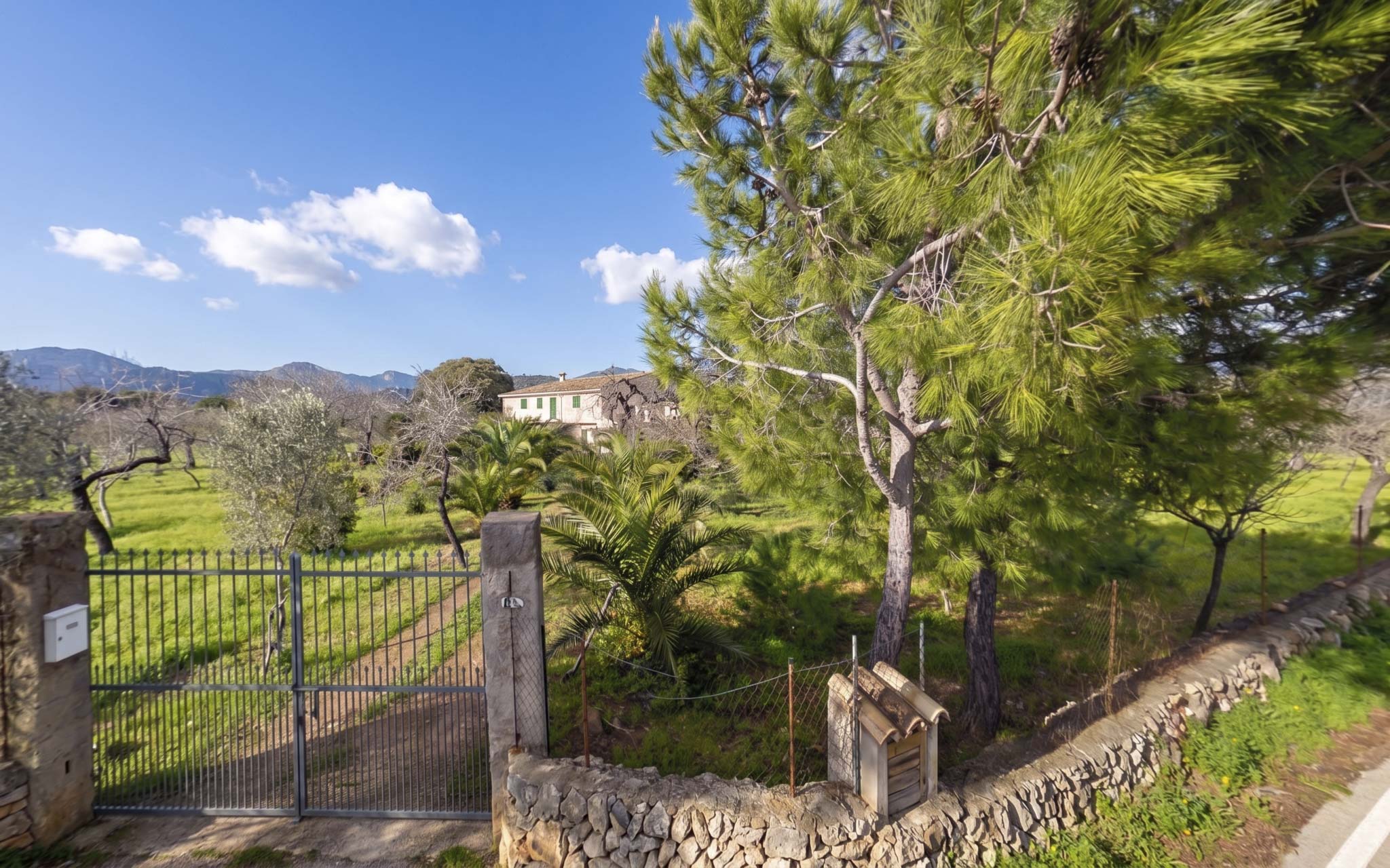 Cal Forner, Can Pancuit, Can Quintana, Can Gener