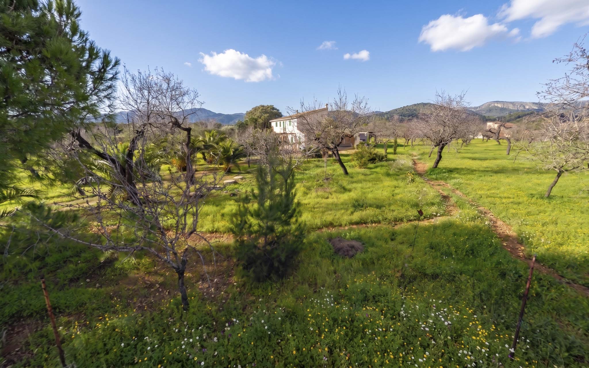 Cal Forner, Can Pancuit, Can Quintana, Can Gener