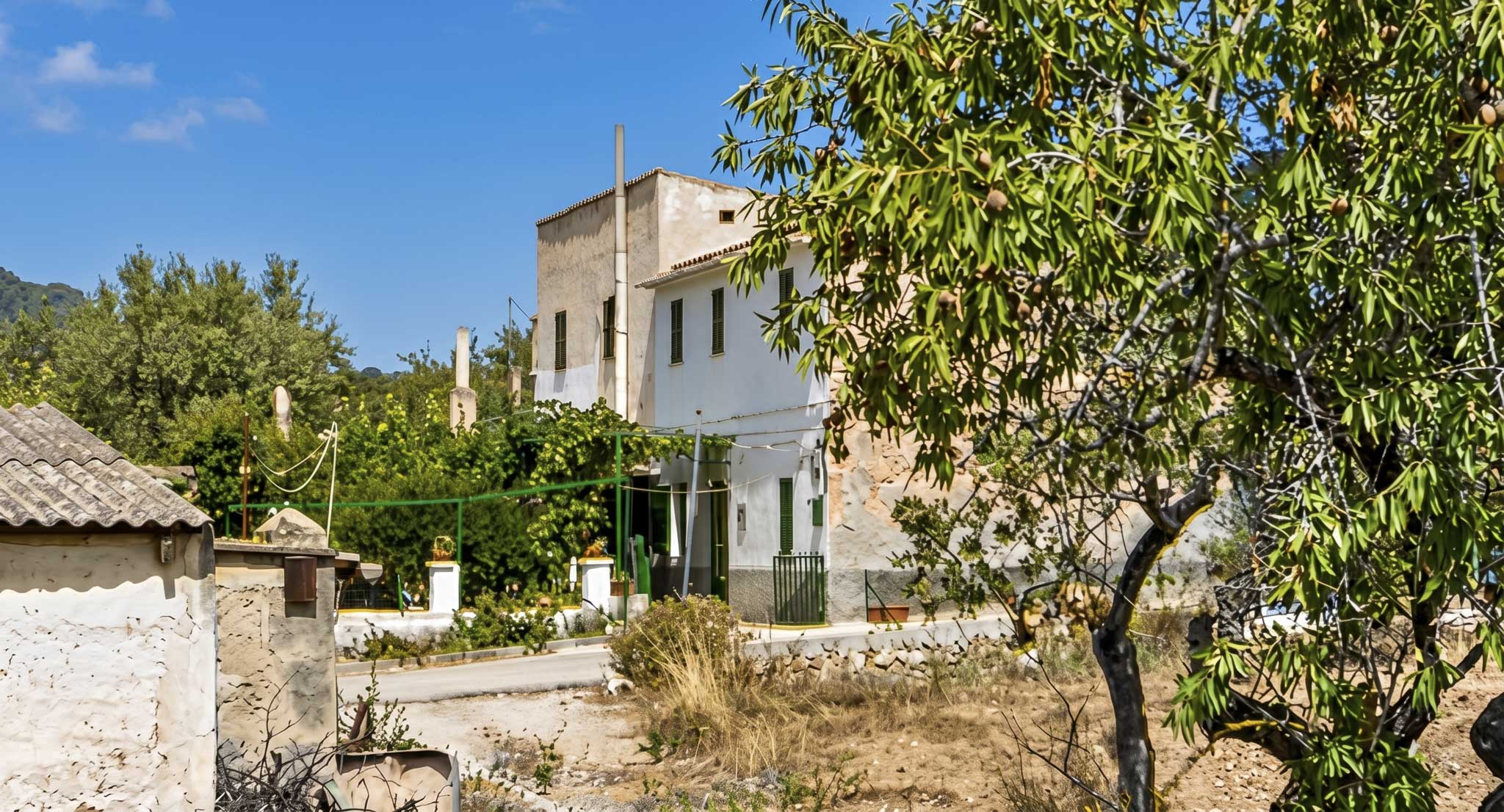 Can Valldemossí