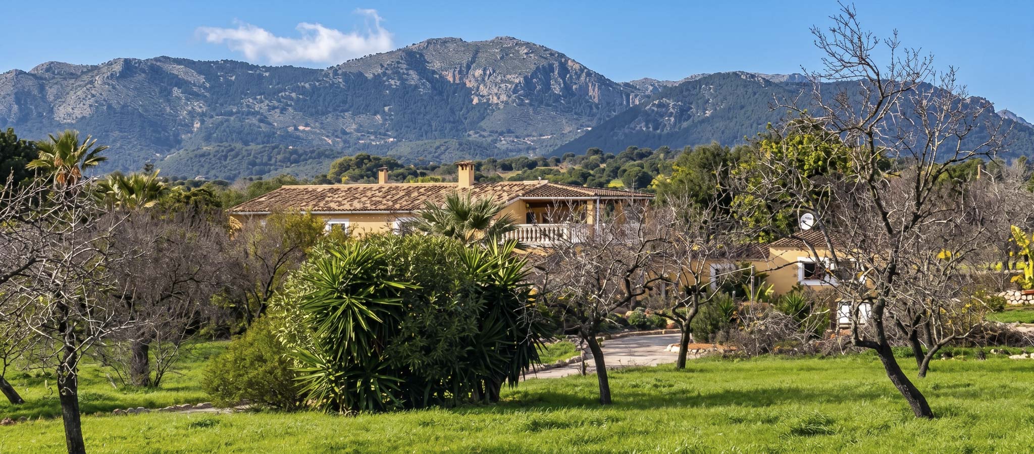 Can Cirereta