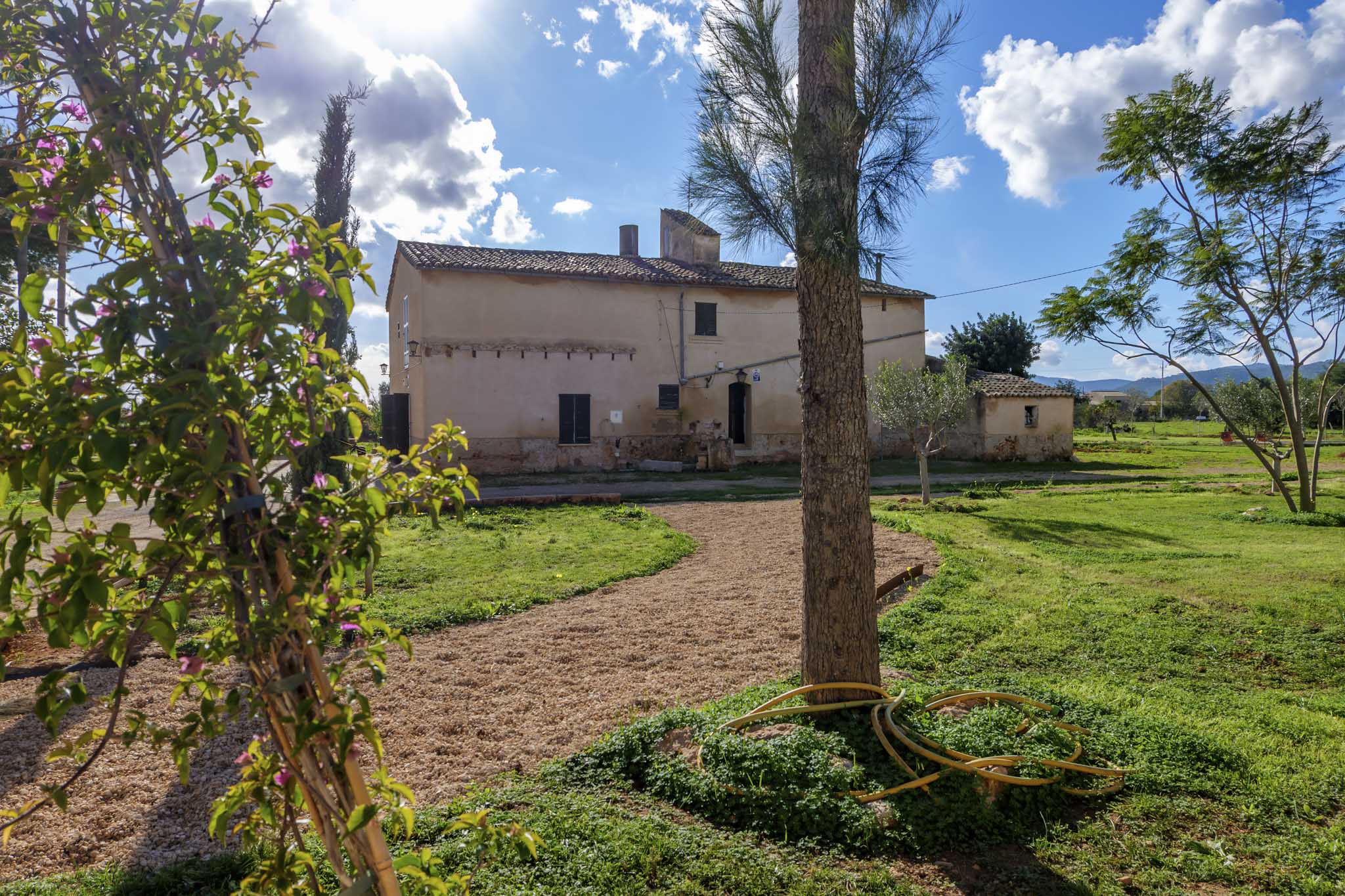 Les Cases Noves