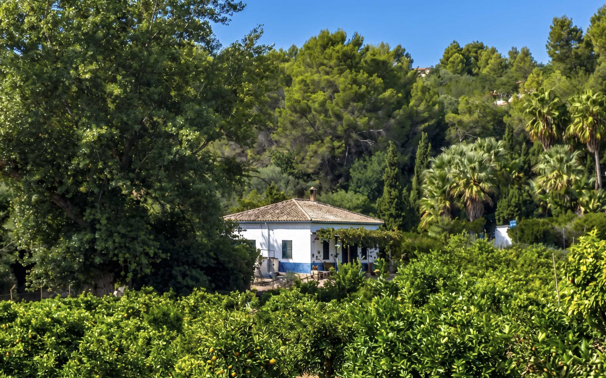 La Casa Nova de Canet, El rafal de n’Escolà, Can Jeroni, Ca na Francina d’en Jeroni, Son Verdera